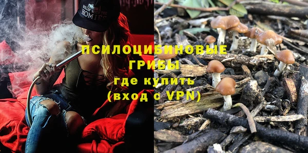mix Касимов
