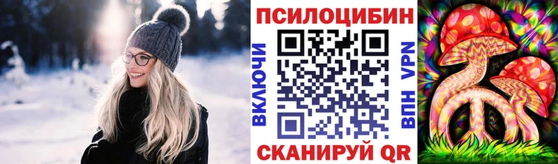 Галлюциногенные грибы Psilocybine cubensis  Купить закладки  Новоуральск 